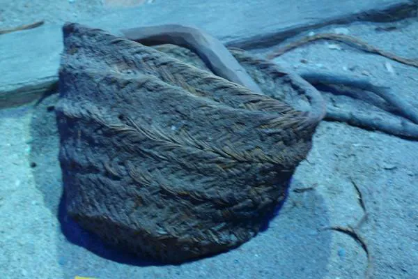 Mazarron II, a Phoenician period shipwreck c 600 BC - Mazarron II. Wicker basket
